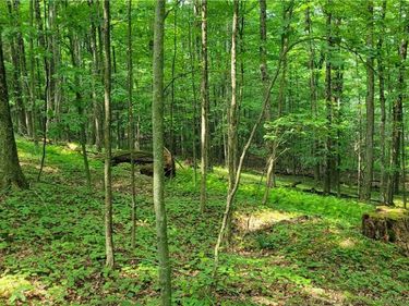 Hagerman, Waverly, NY 14892