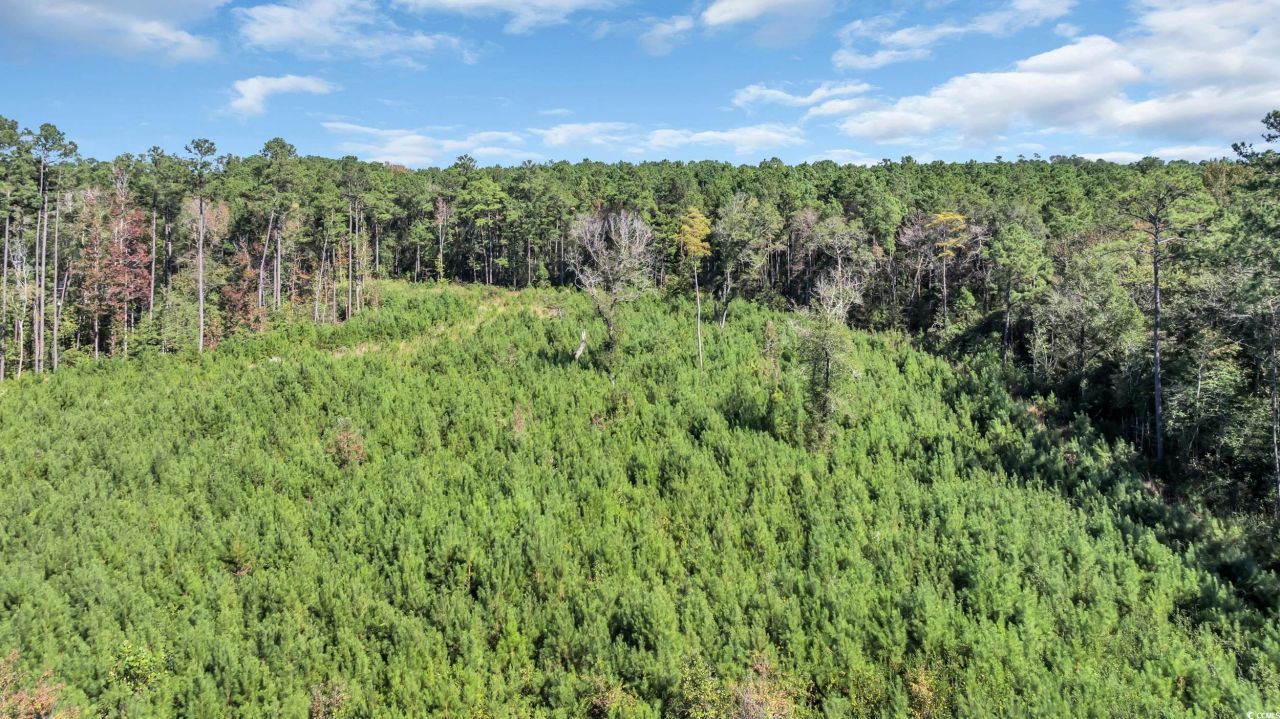 Tbd Not Specified Photo 10