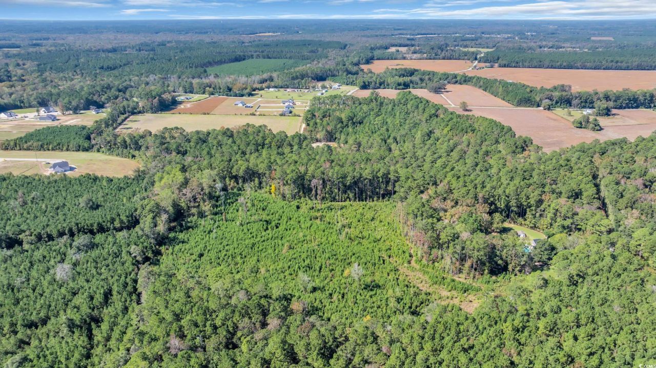 Tbd Not Specified Photo 13