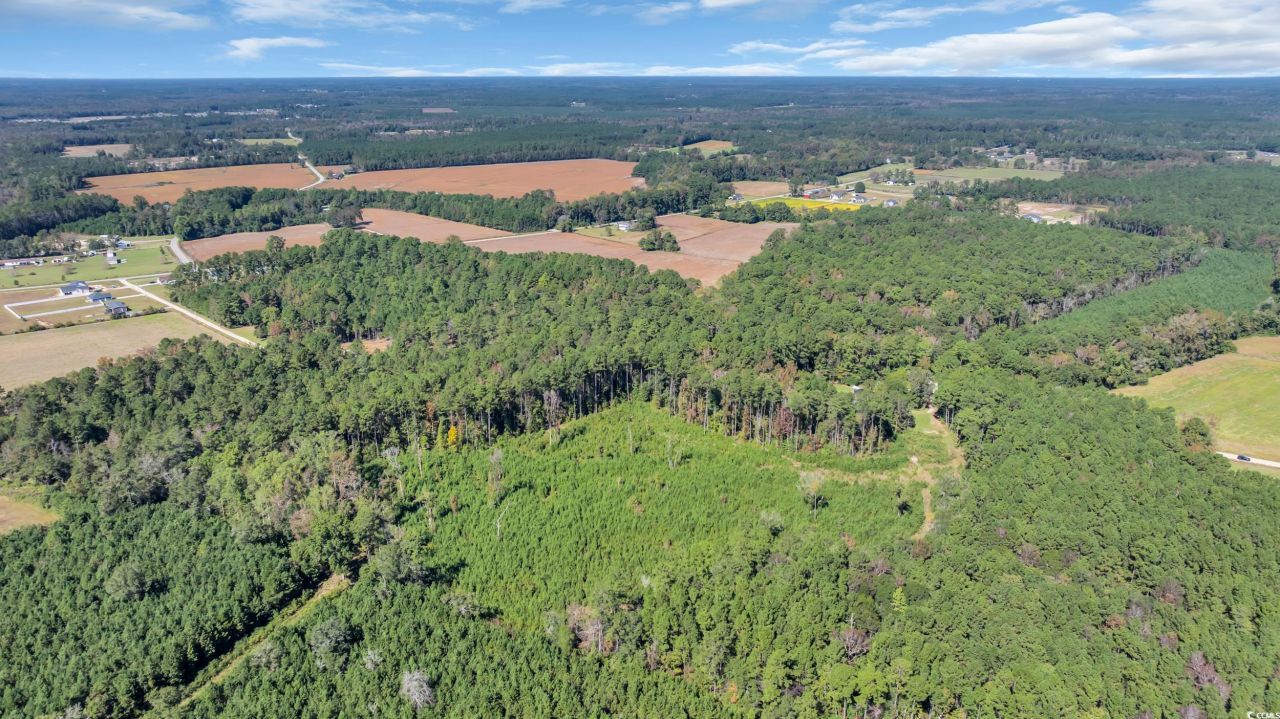 Tbd Not Specified Photo 14