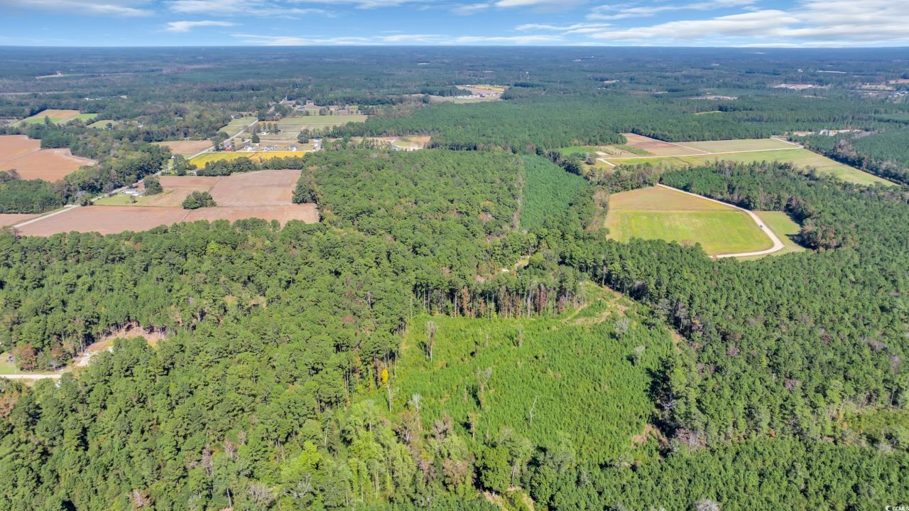 Tbd Not Specified Photo 15