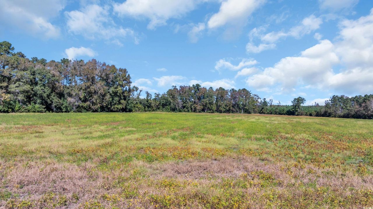 Tbd Not Specified Photo 16