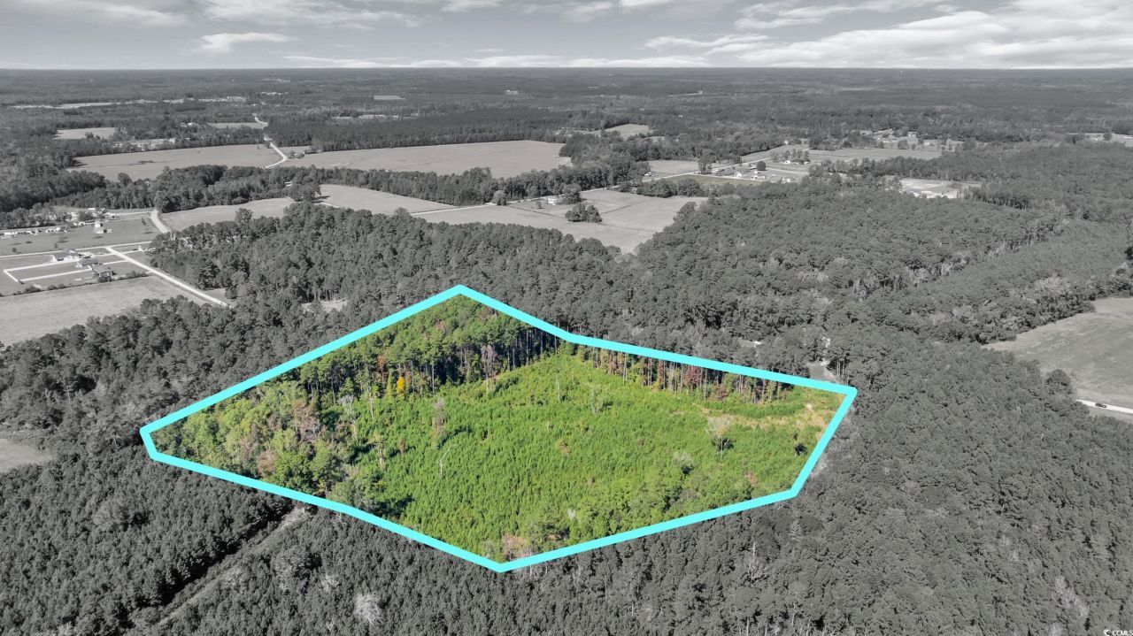 Tbd Not Specified Photo 4