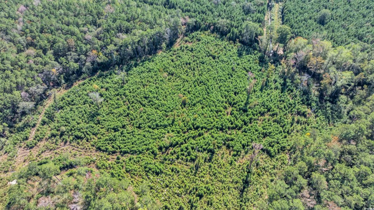 Tbd Not Specified Photo 5