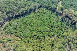 Tbd Not Specified photo 4