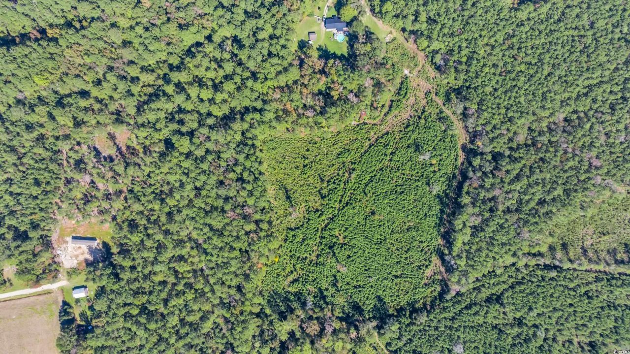 Tbd Not Specified Photo 6