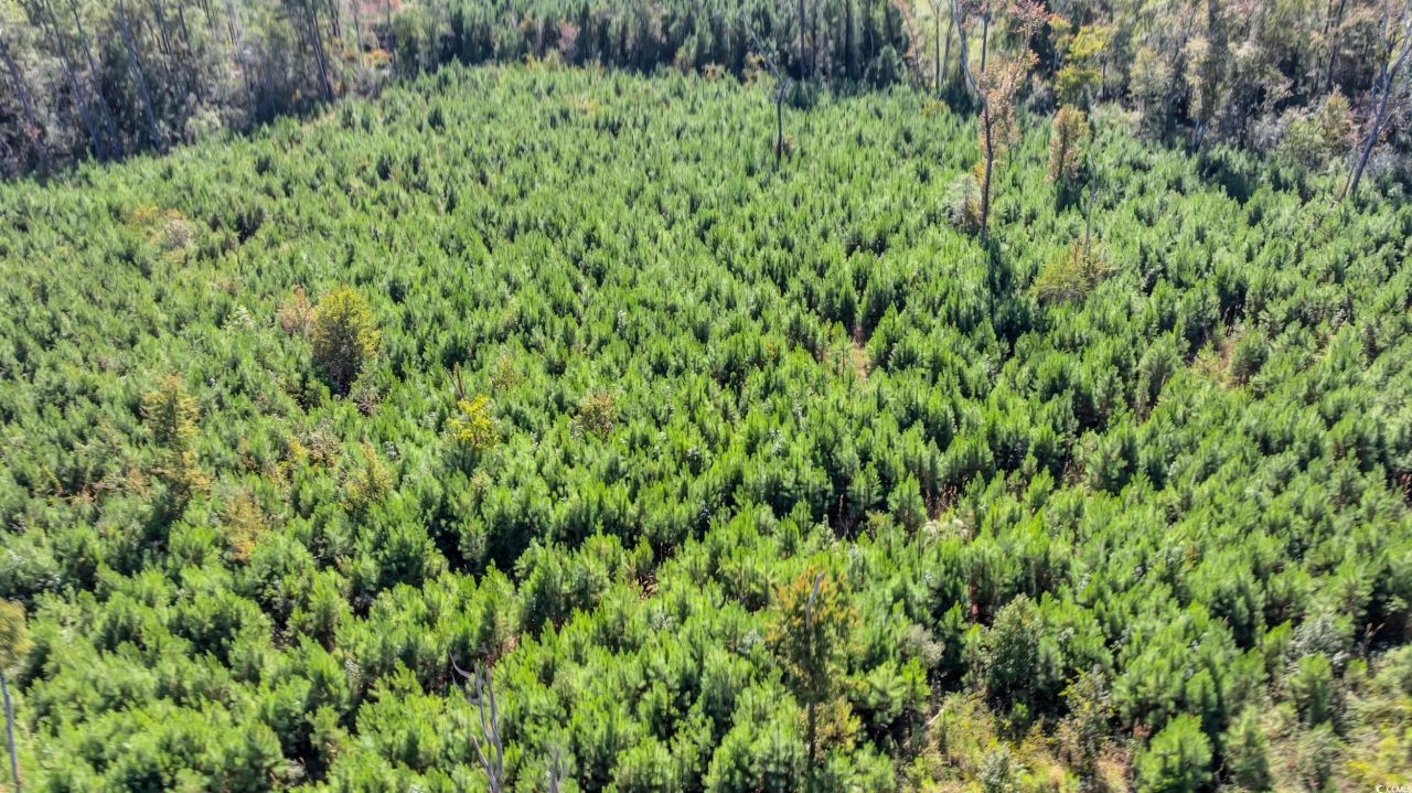 Tbd Not Specified Photo 7