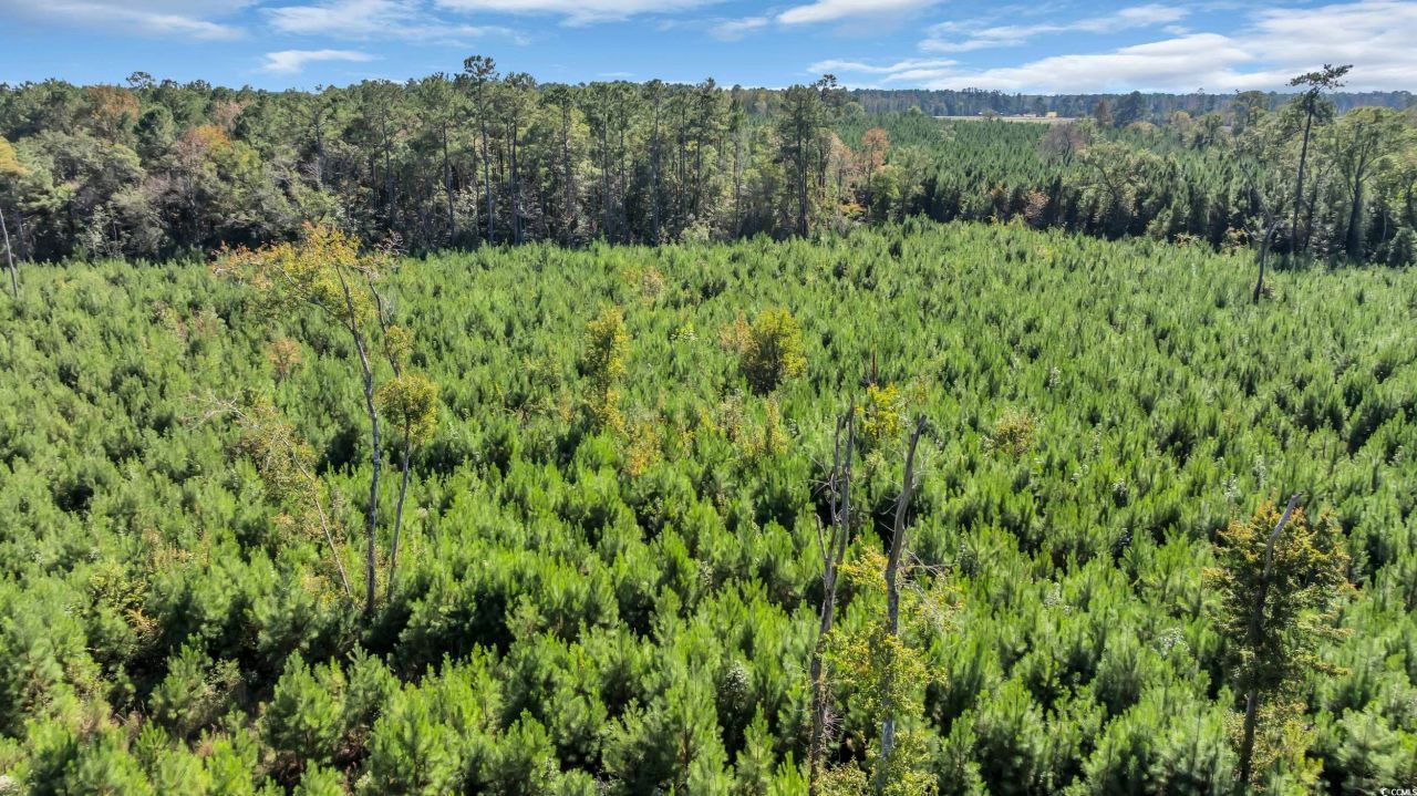 Tbd Not Specified Photo 8