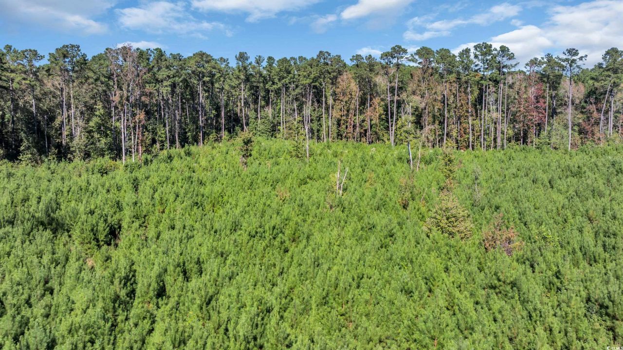 Tbd Not Specified Photo 9