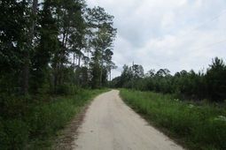 7905 Morris Bing Road photo 4