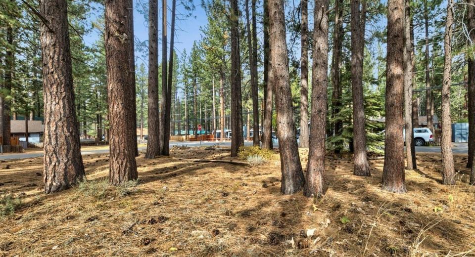 1124 Martin Avenue, South Lake Tahoe, CA 96150 Photo