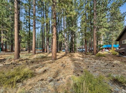 1124 Martin Avenue, South Lake Tahoe, CA 96150 Photo