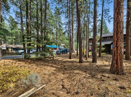 1124 Martin Avenue, South Lake Tahoe, CA 96150 Photo