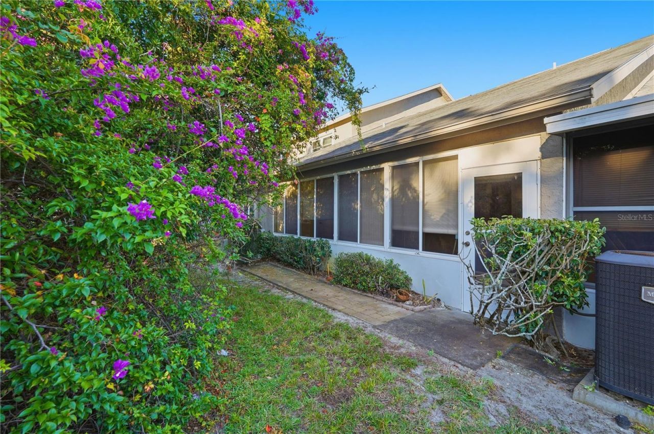 106 Hunter Court, Palm Harbor, FL 34684 Photo