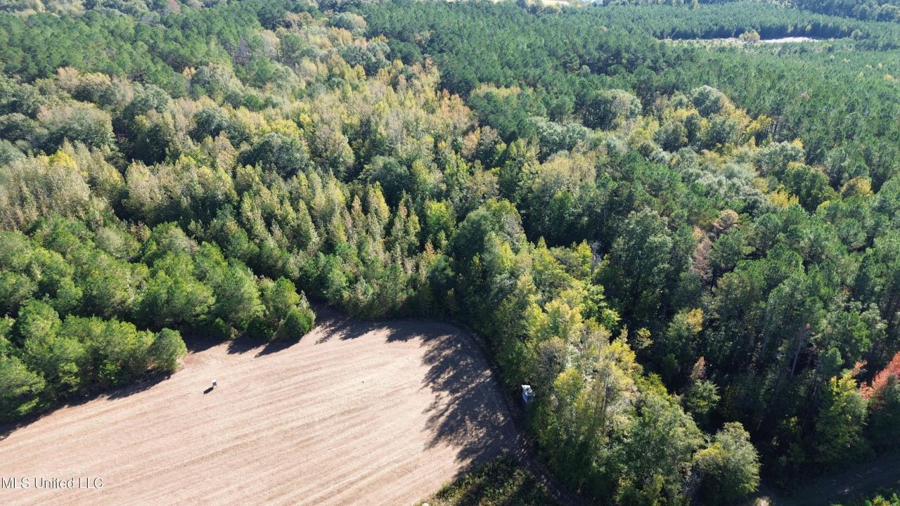 Shady Grove Road, Goodman, MS 39079 Main Photo