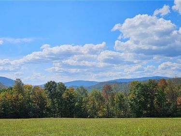 161 N Montgomery Hollow Road, Roxbury, NY 12474