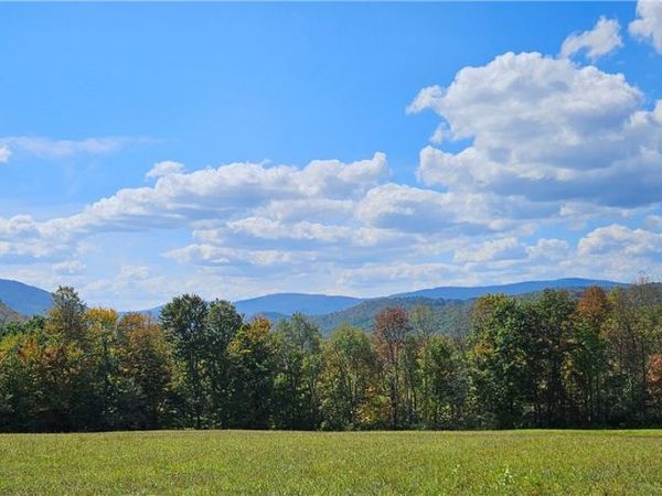 161 N Montgomery Hollow Road, Roxbury, NY 12474