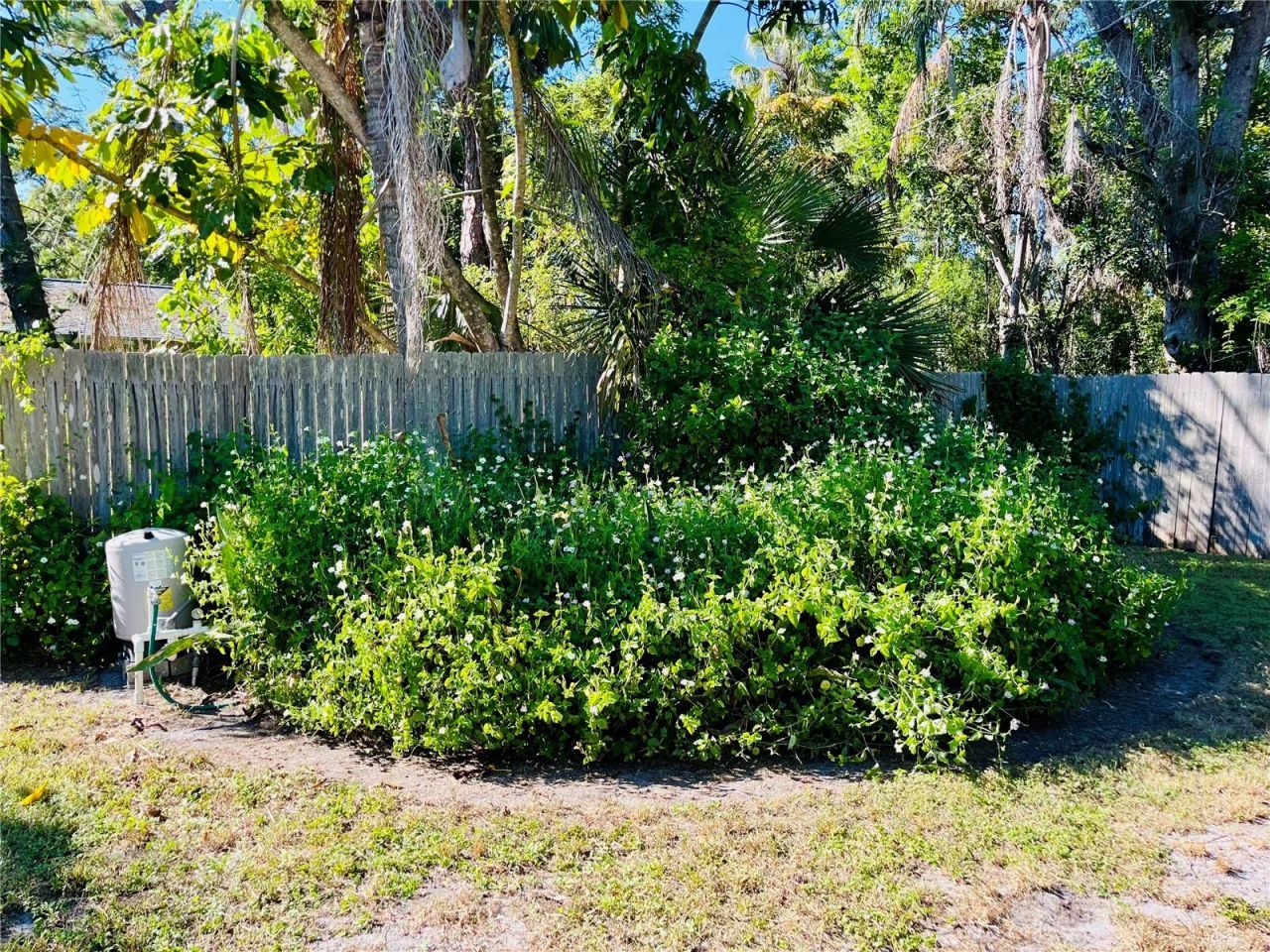 550 46th Street, Sarasota, FL 34234 Photo