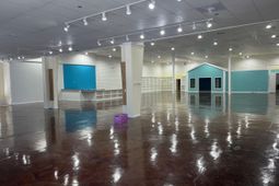 6613 N Kings Hwy. photo 4