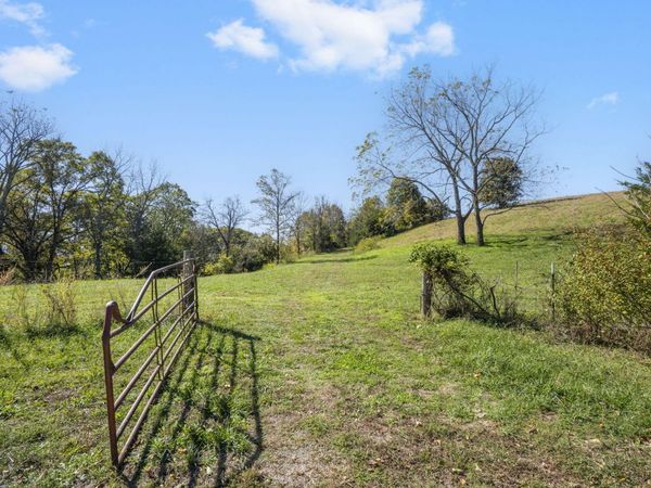 Tbd Wolf Road , Walnut Shade, MO 65771