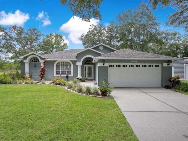 19616 LIVINGSTON AVENUE, LUTZ, FL 33559