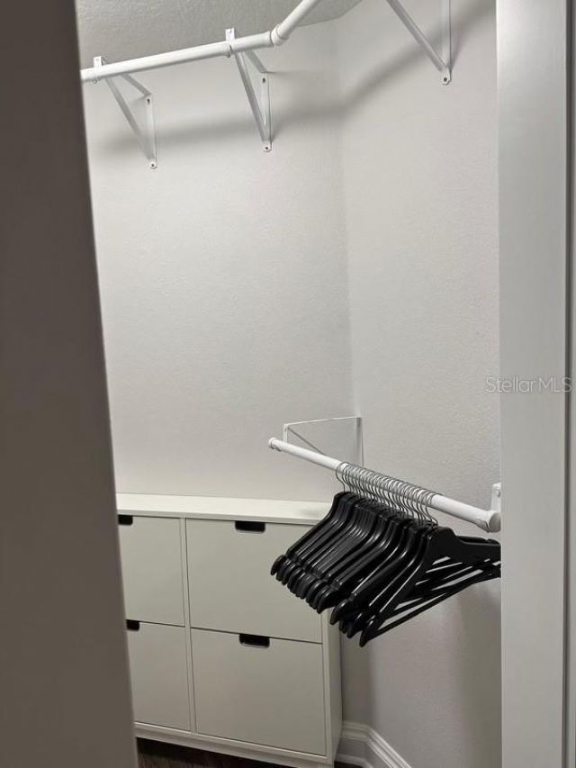 19616 Livingston Avenue, Lutz, FL 33559 Photo