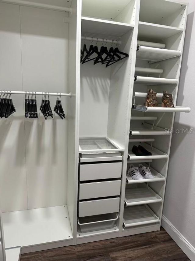 19616 Livingston Avenue, Lutz, FL 33559 Photo