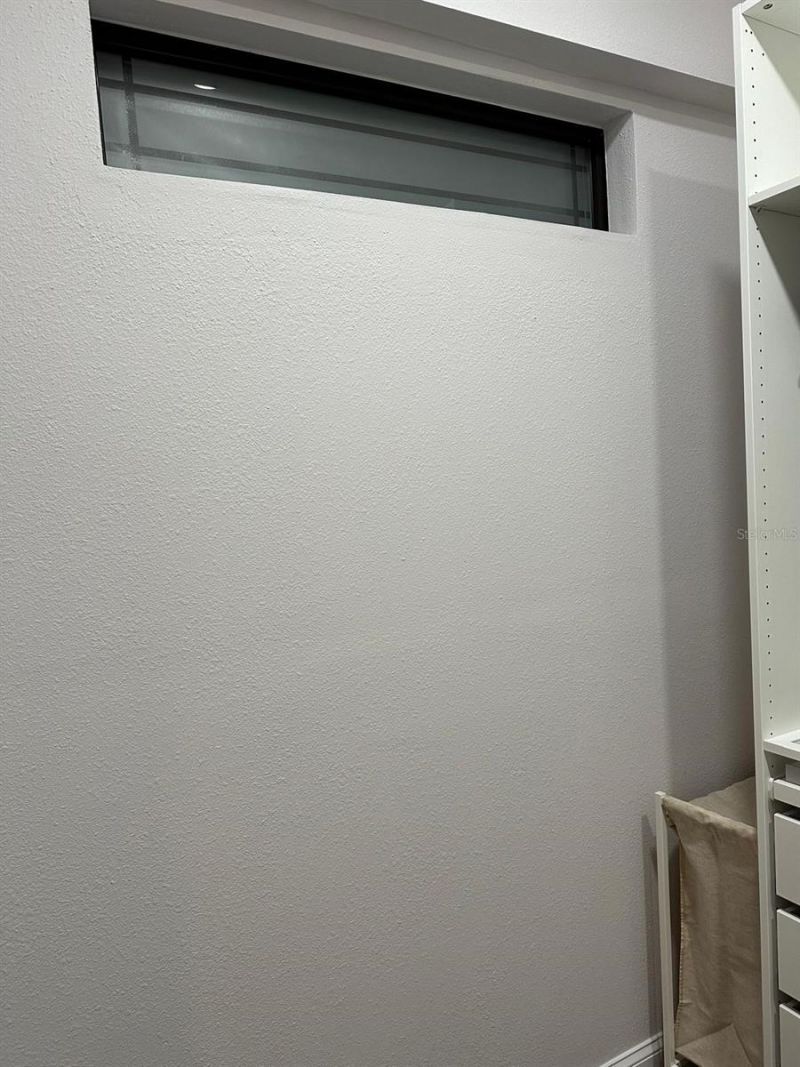 19616 Livingston Avenue, Lutz, FL 33559 Photo