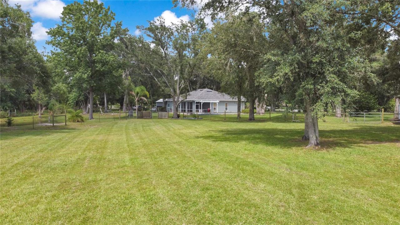 19616 Livingston Avenue, Lutz, FL 33559 Photo