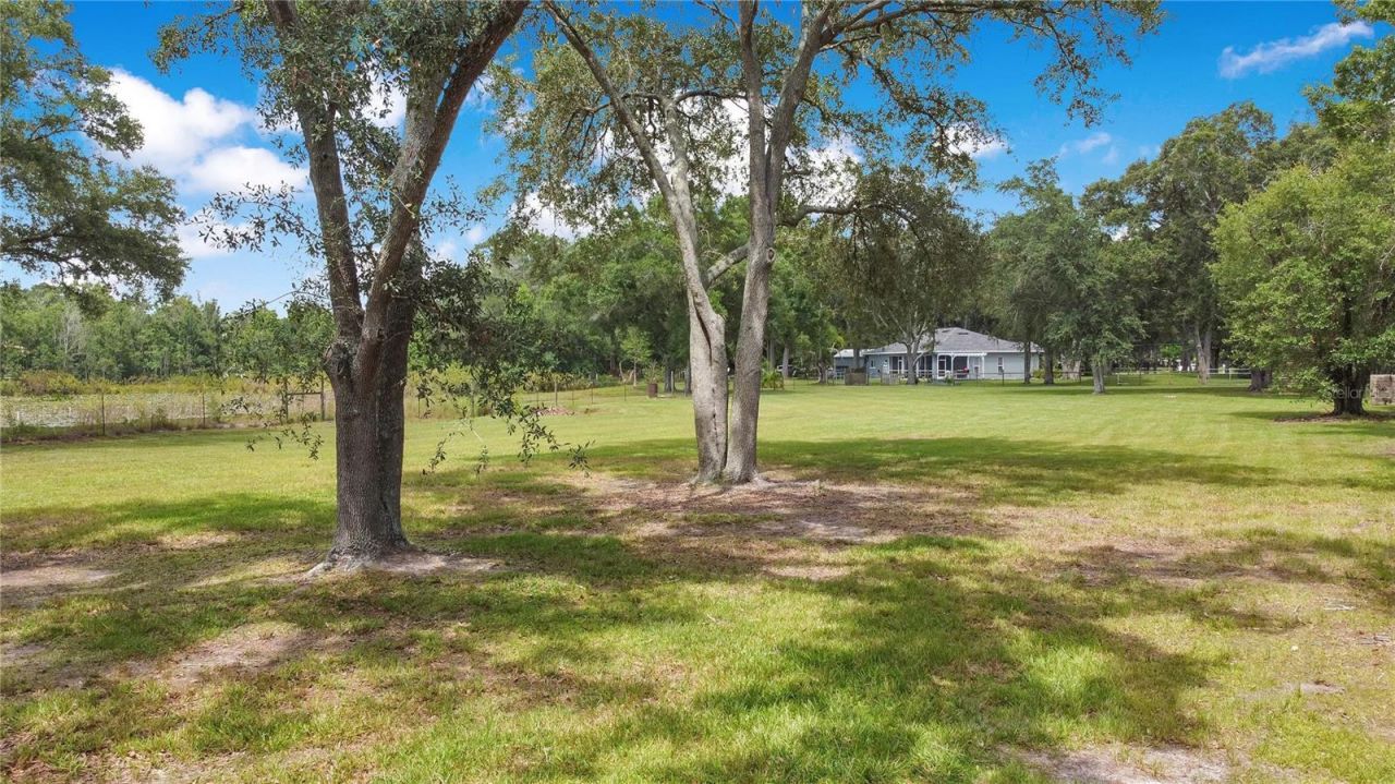 19616 Livingston Avenue, Lutz, FL 33559 Photo