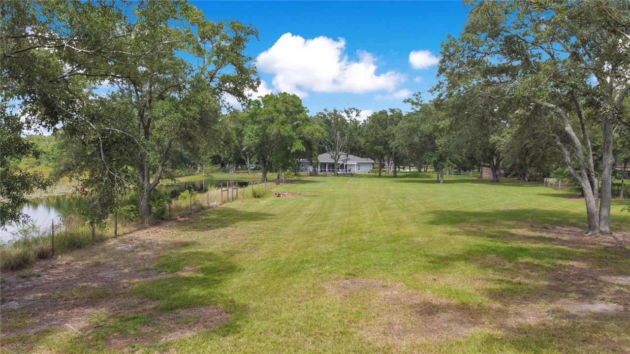 19616 Livingston Avenue, Lutz, FL 33559 Photo