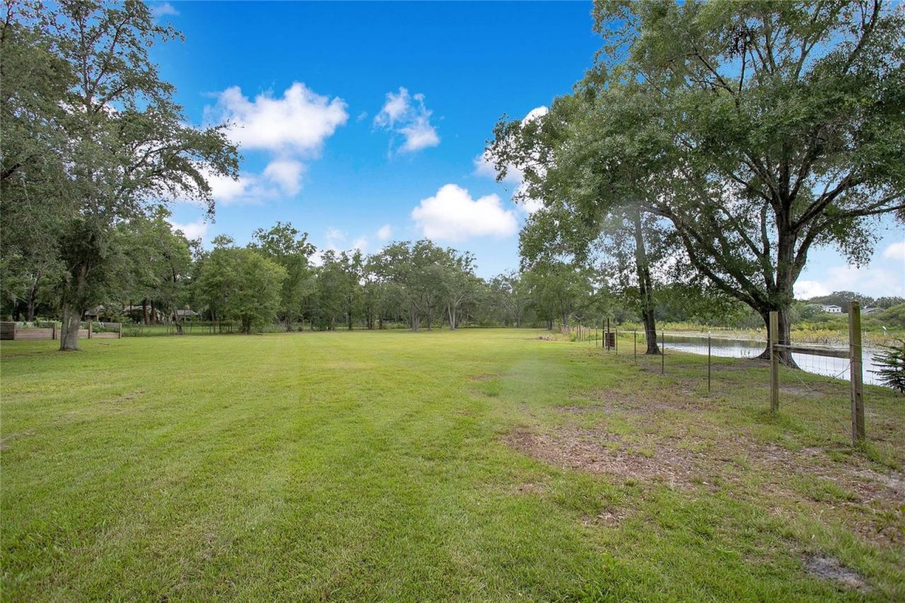 19616 Livingston Avenue, Lutz, FL 33559 Photo