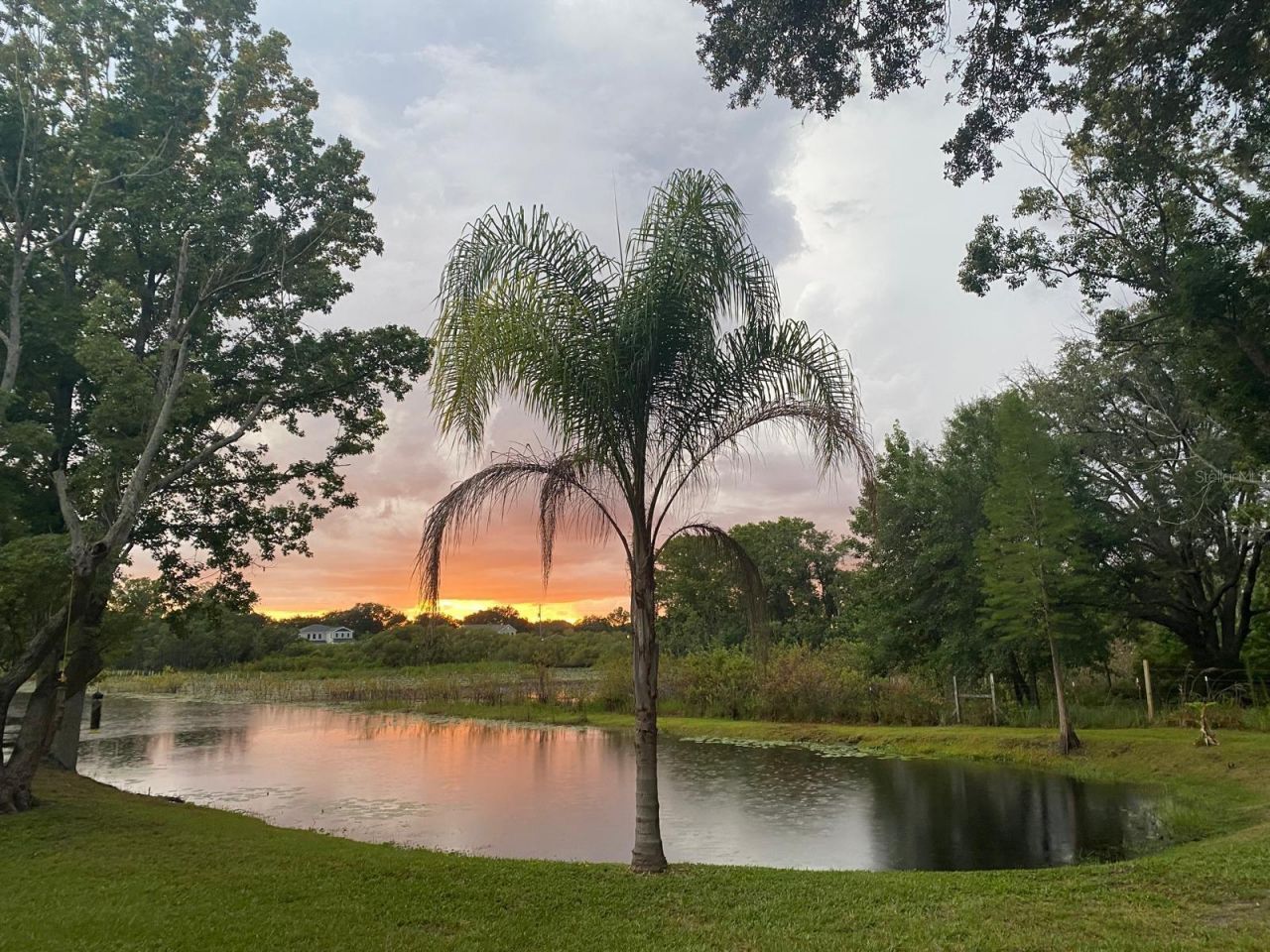 19616 Livingston Avenue, Lutz, FL 33559 Photo