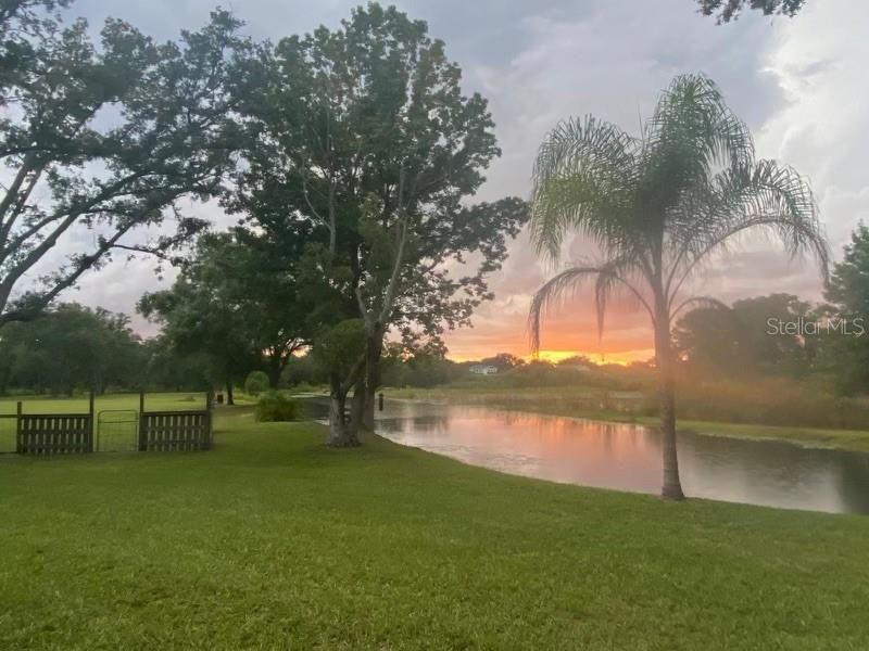 19616 Livingston Avenue, Lutz, FL 33559 Photo