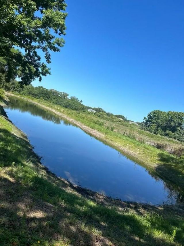 19616 Livingston Avenue, Lutz, FL 33559 Photo