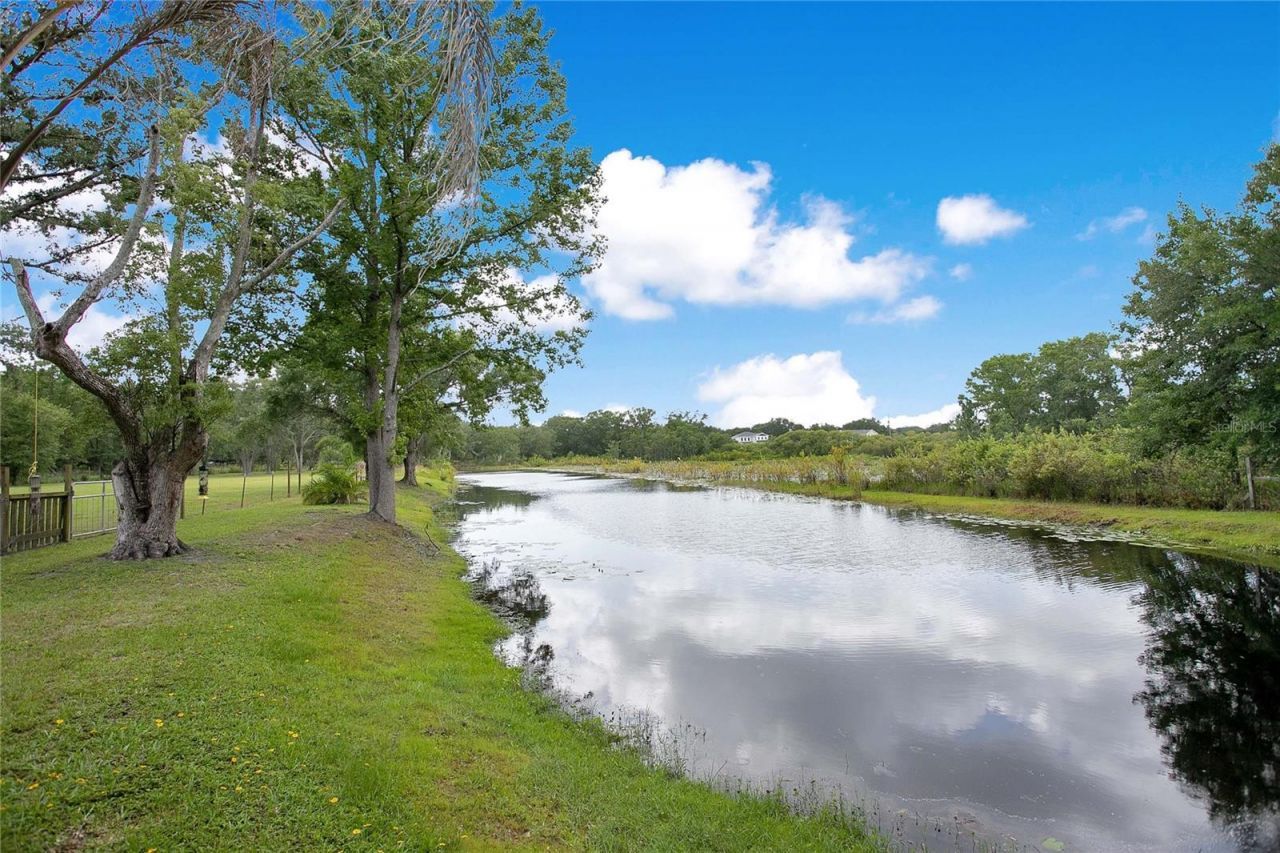 19616 Livingston Avenue, Lutz, FL 33559 Photo