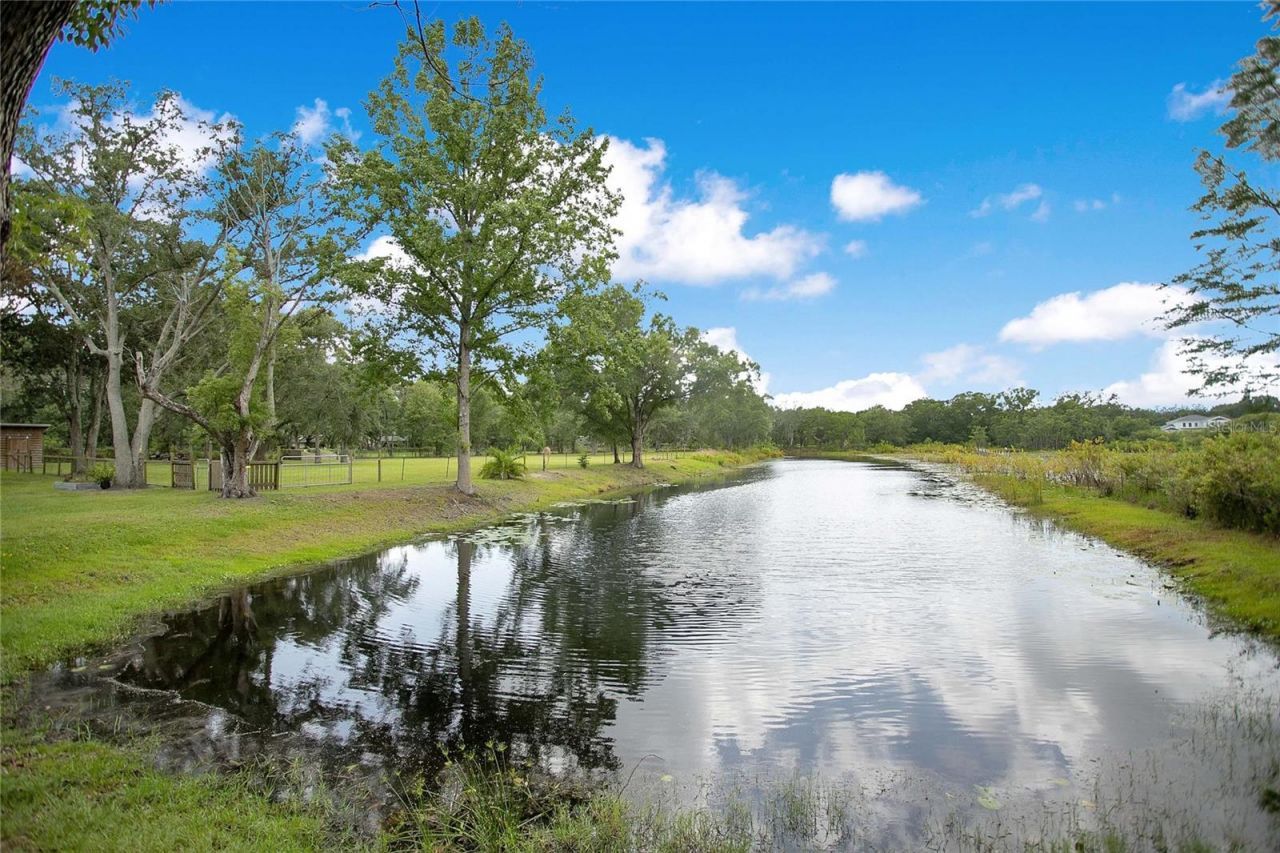 19616 Livingston Avenue, Lutz, FL 33559 Photo