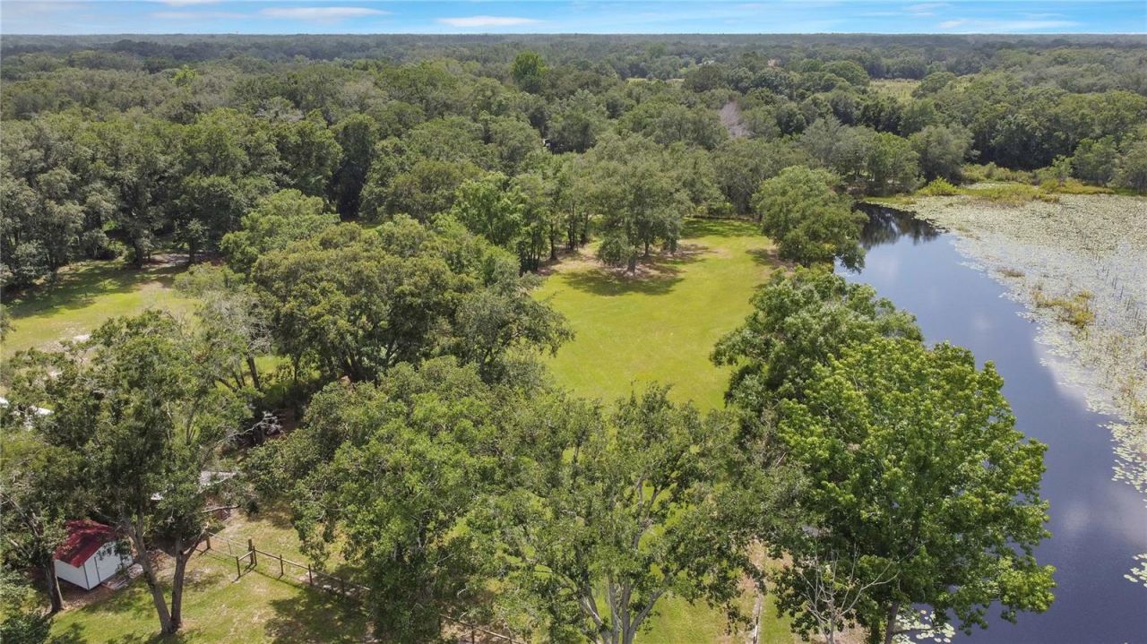 19616 Livingston Avenue, Lutz, FL 33559 Photo