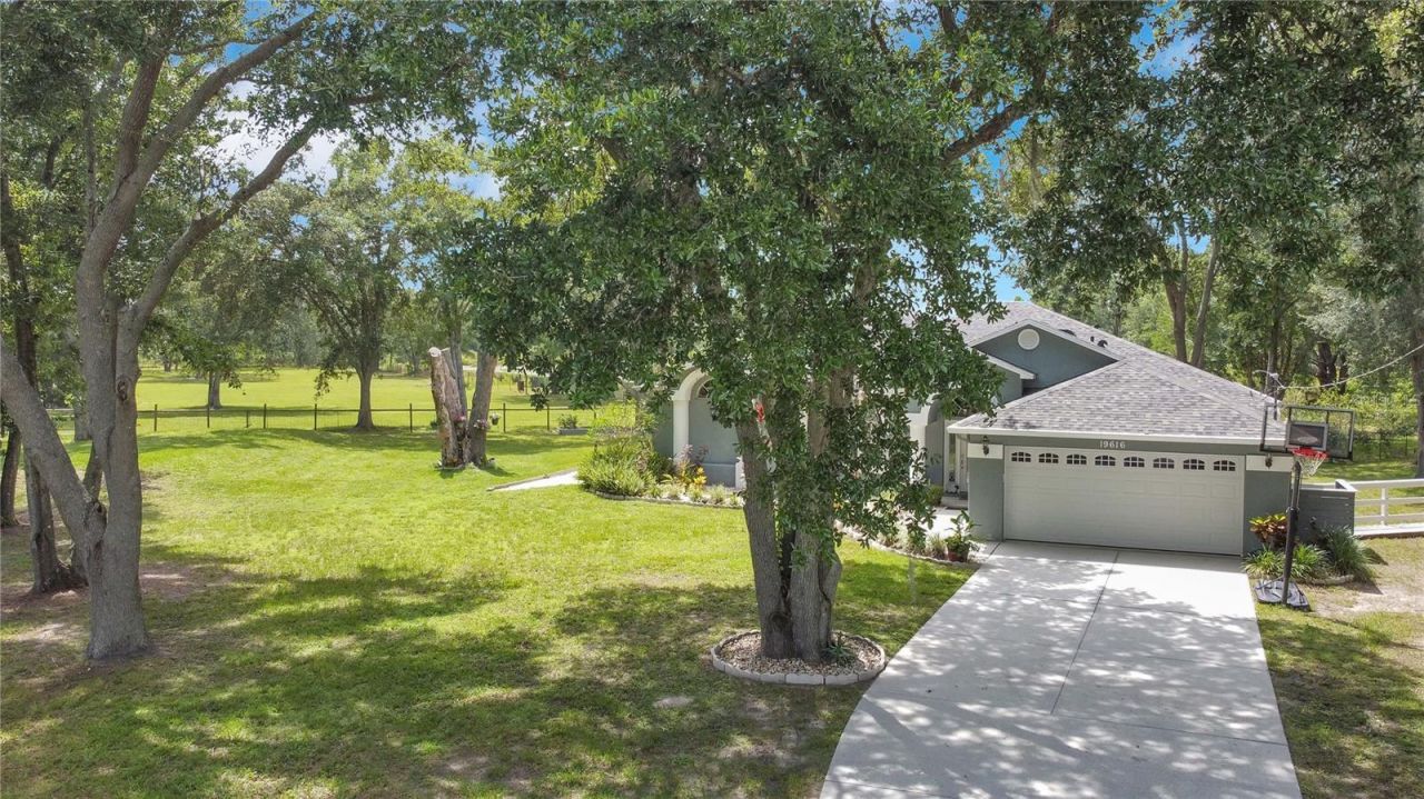 19616 Livingston Avenue, Lutz, FL 33559 Photo