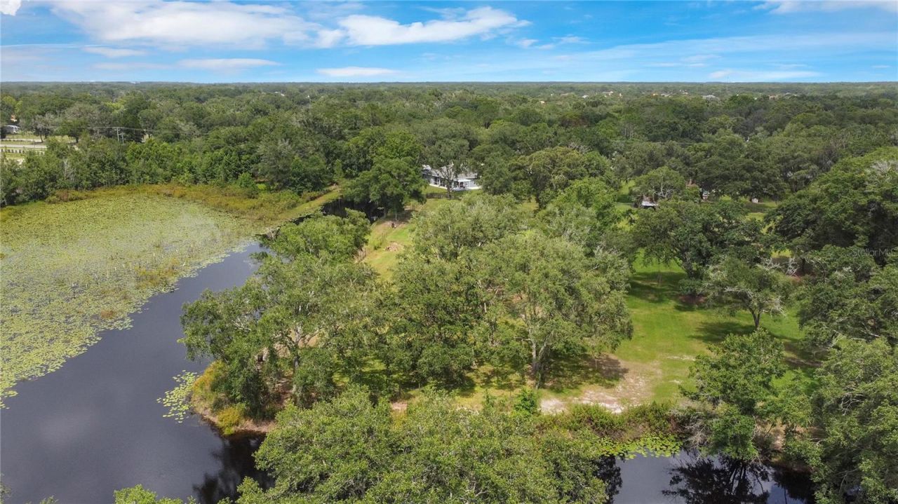 19616 Livingston Avenue, Lutz, FL 33559 Photo