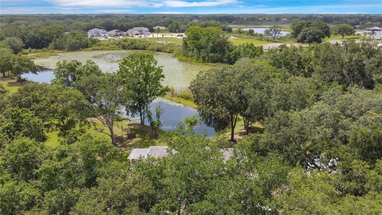 19616 Livingston Avenue, Lutz, FL 33559 Photo