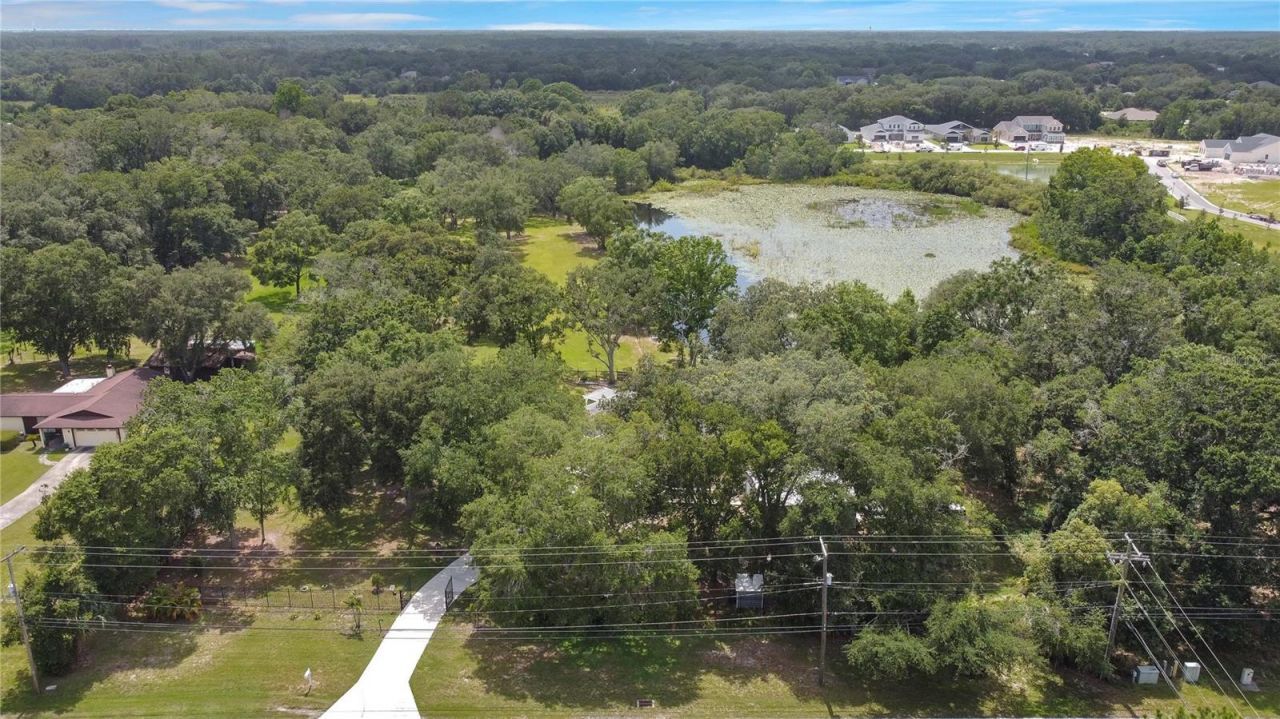 19616 Livingston Avenue, Lutz, FL 33559 Photo