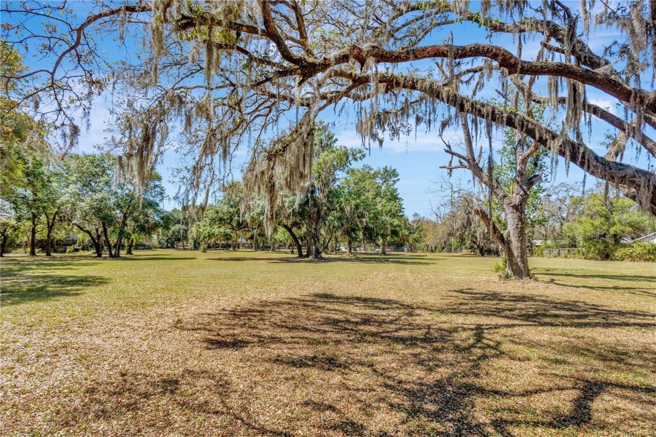 5501 N 37th Street, Tampa, FL 33610 Photo