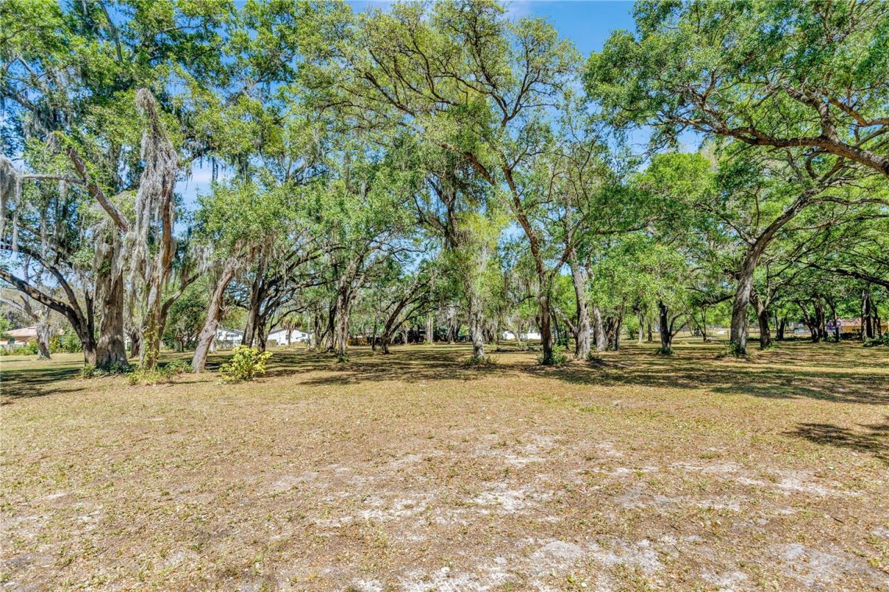 5501 N 37th Street, Tampa, FL 33610 Photo