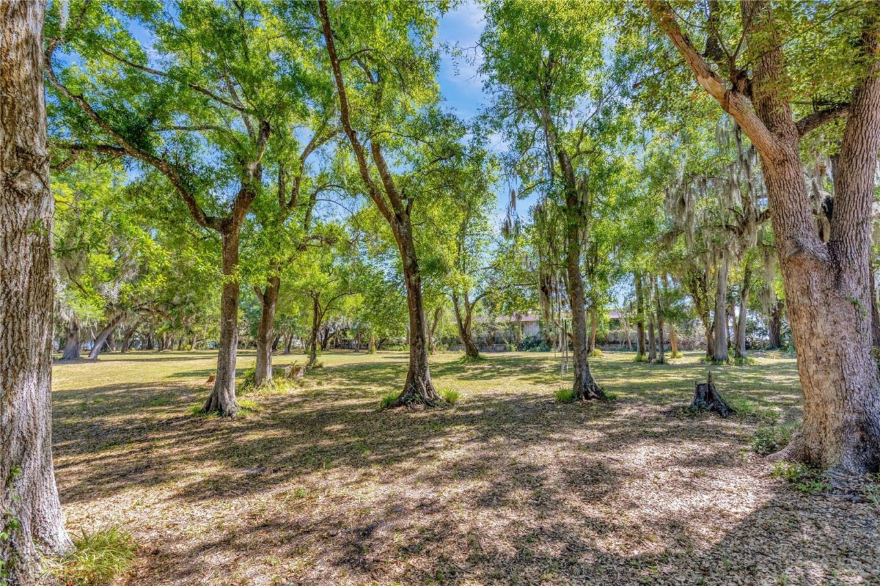 5501 N 37th Street, Tampa, FL 33610 Photo