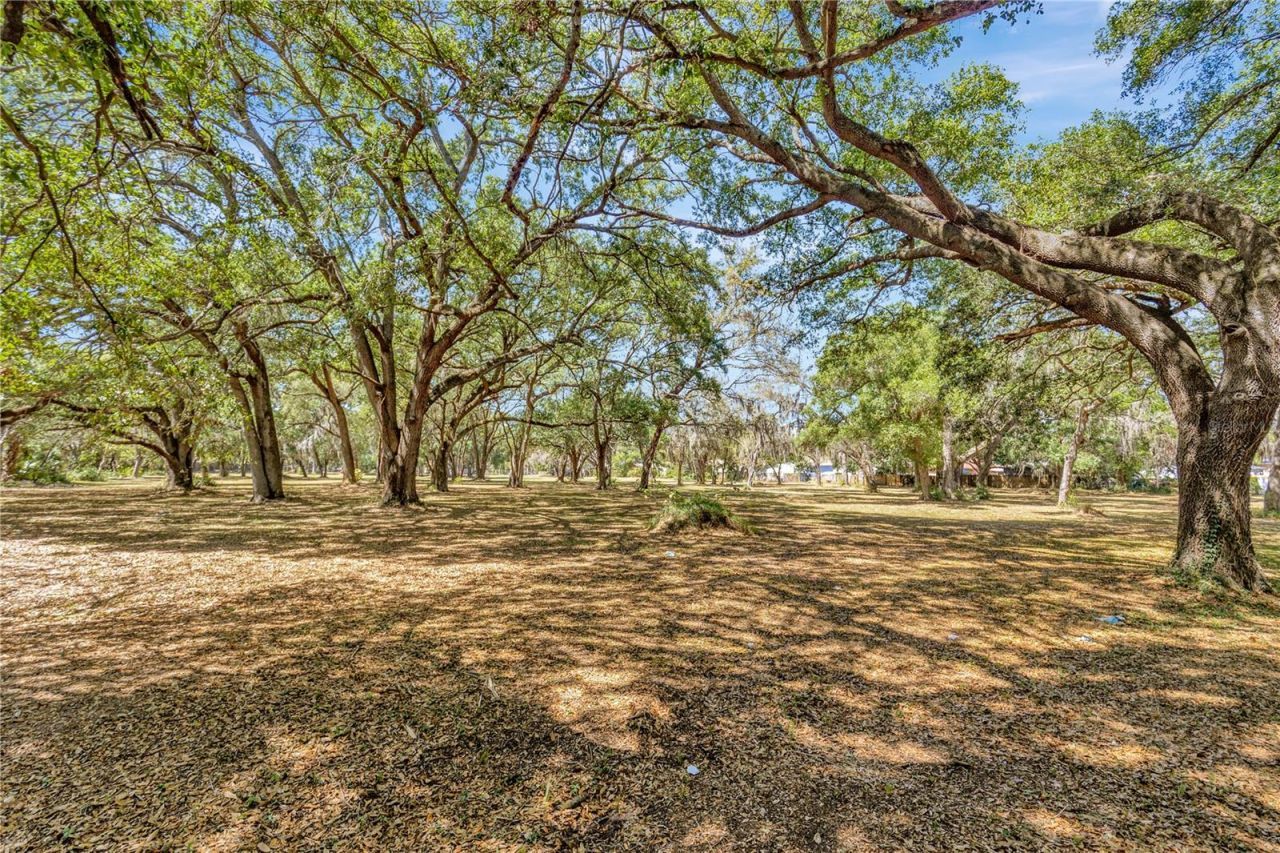 5501 N 37th Street, Tampa, FL 33610 Photo