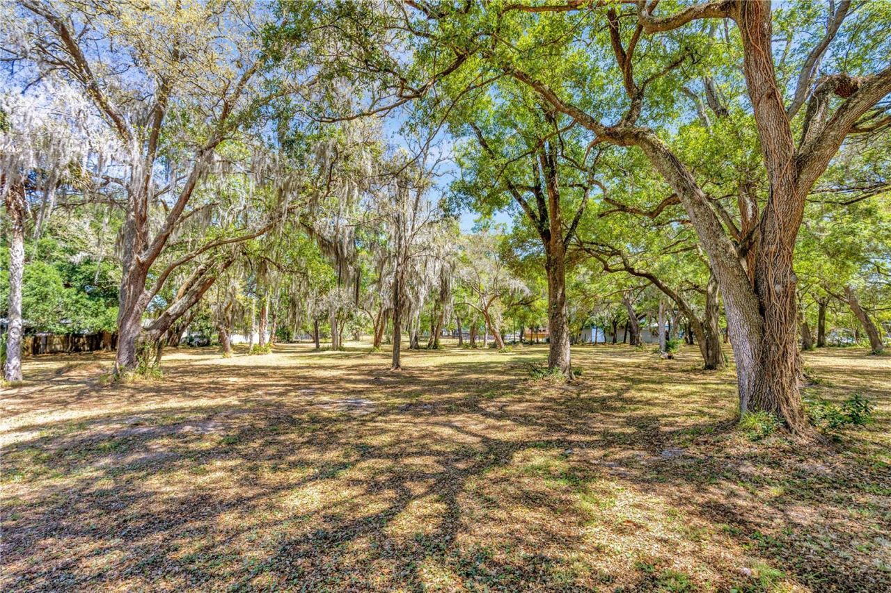 5501 N 37th Street, Tampa, FL 33610 Photo