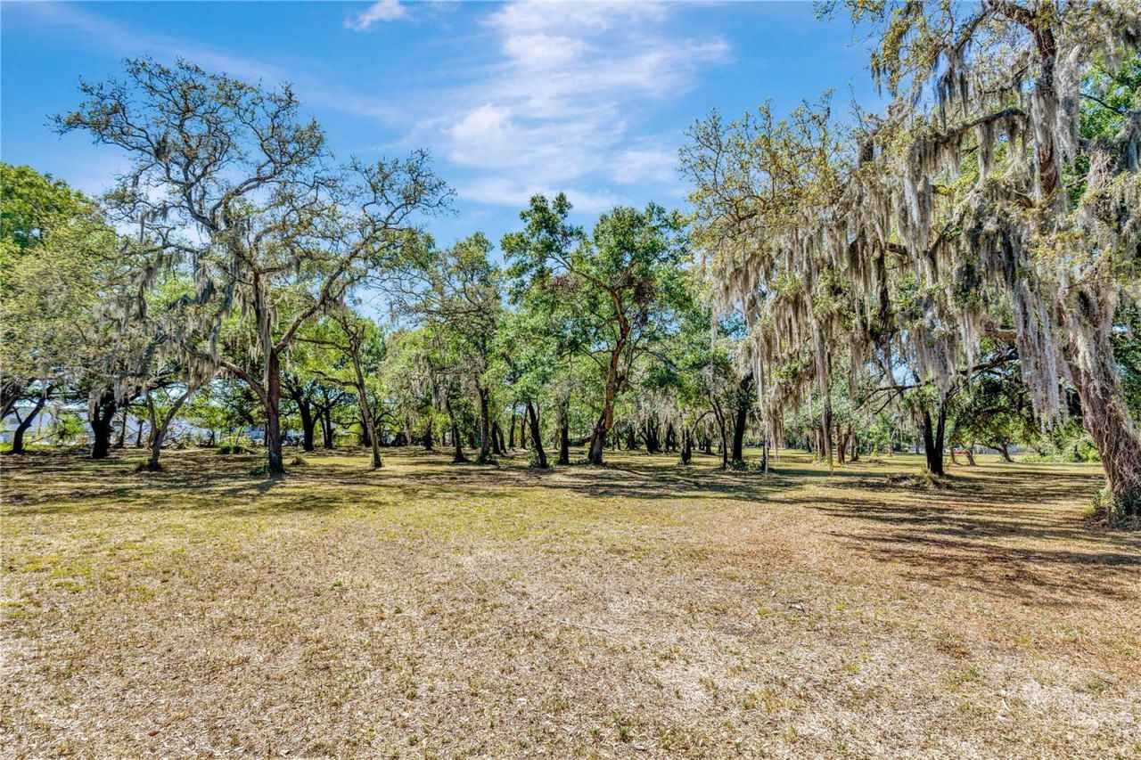 5501 N 37th Street, Tampa, FL 33610 Photo