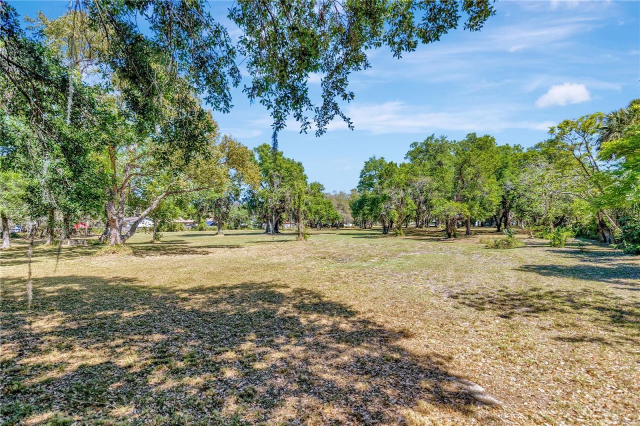 5501 N 37th Street, Tampa, FL 33610 Photo