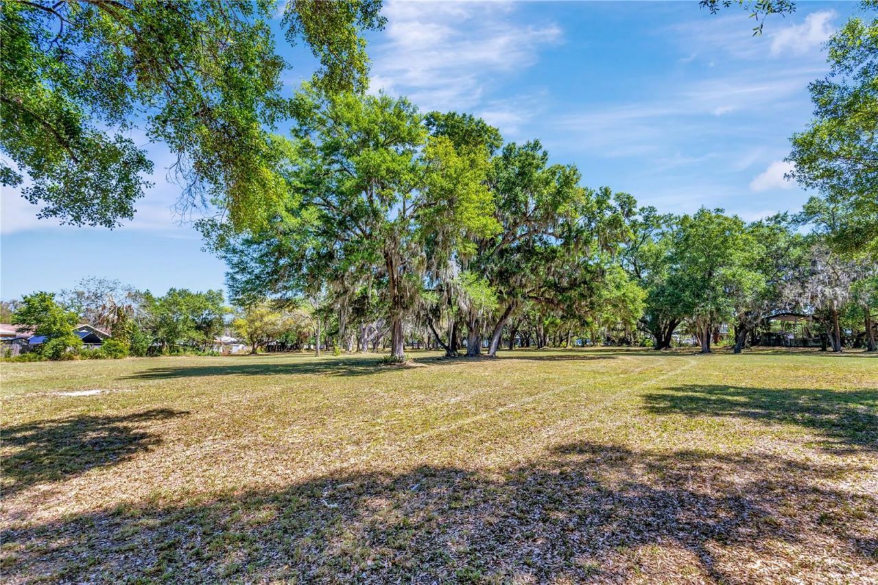 5501 N 37th Street, Tampa, FL 33610 Photo